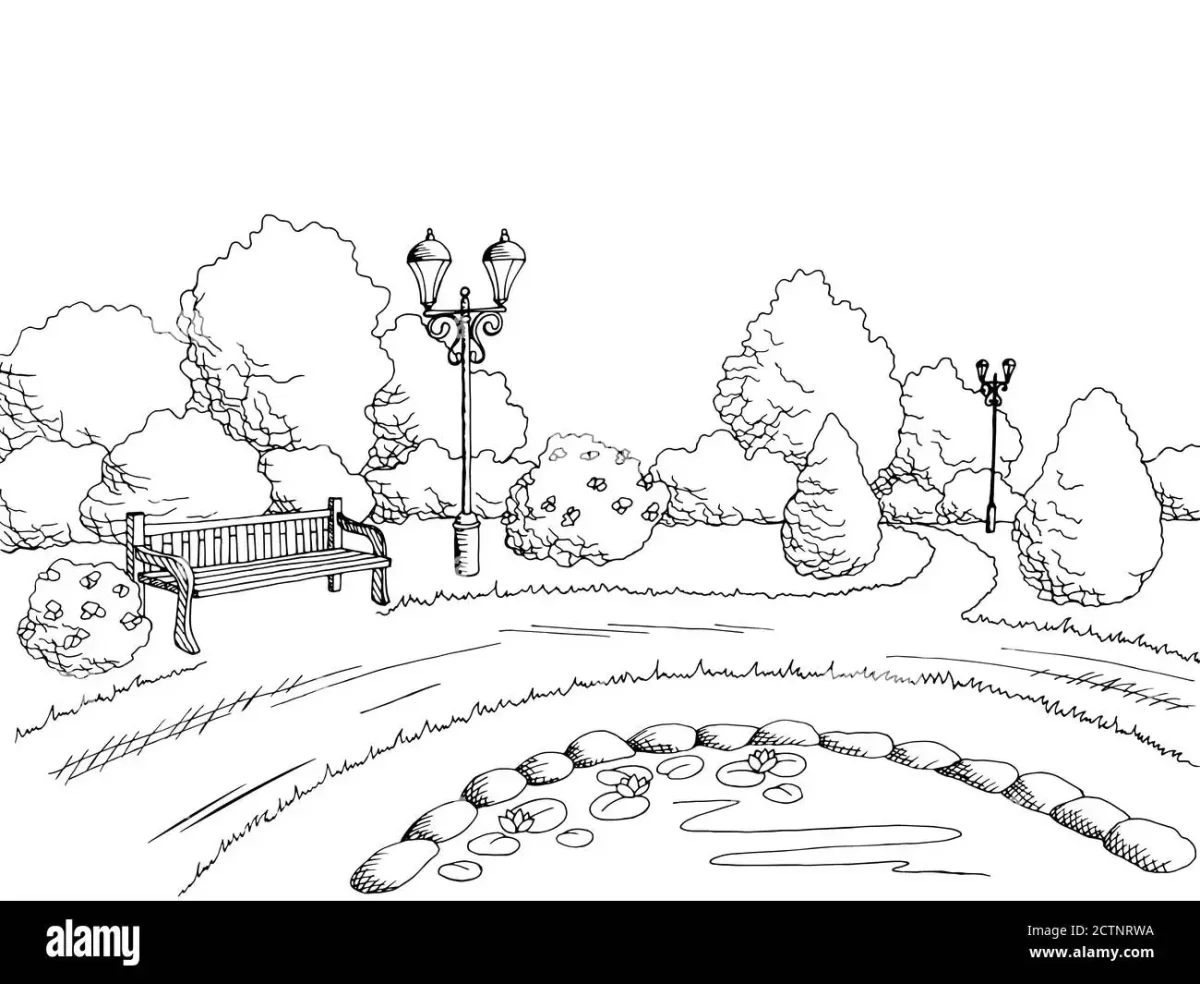 Раскраска парк