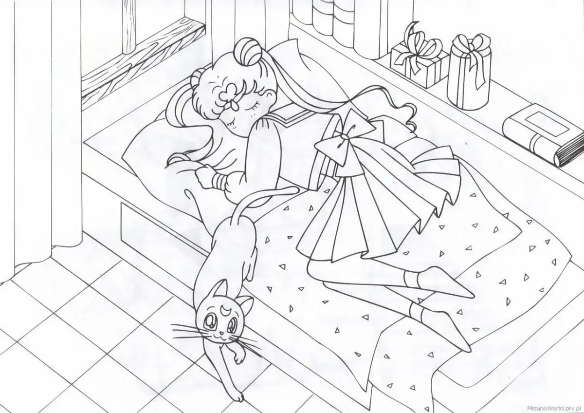 Сантиметр контур