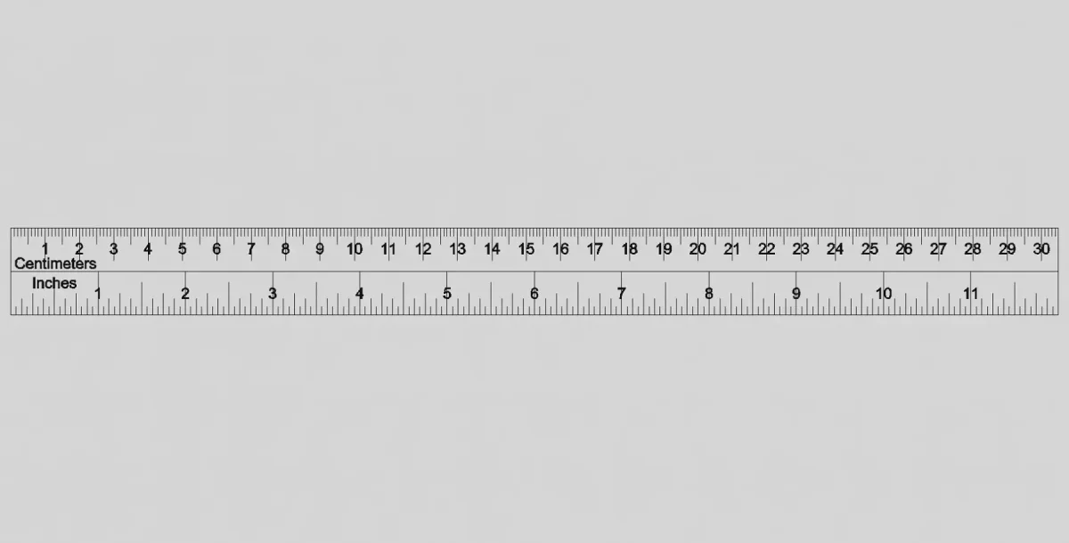 Рулетка раскраска