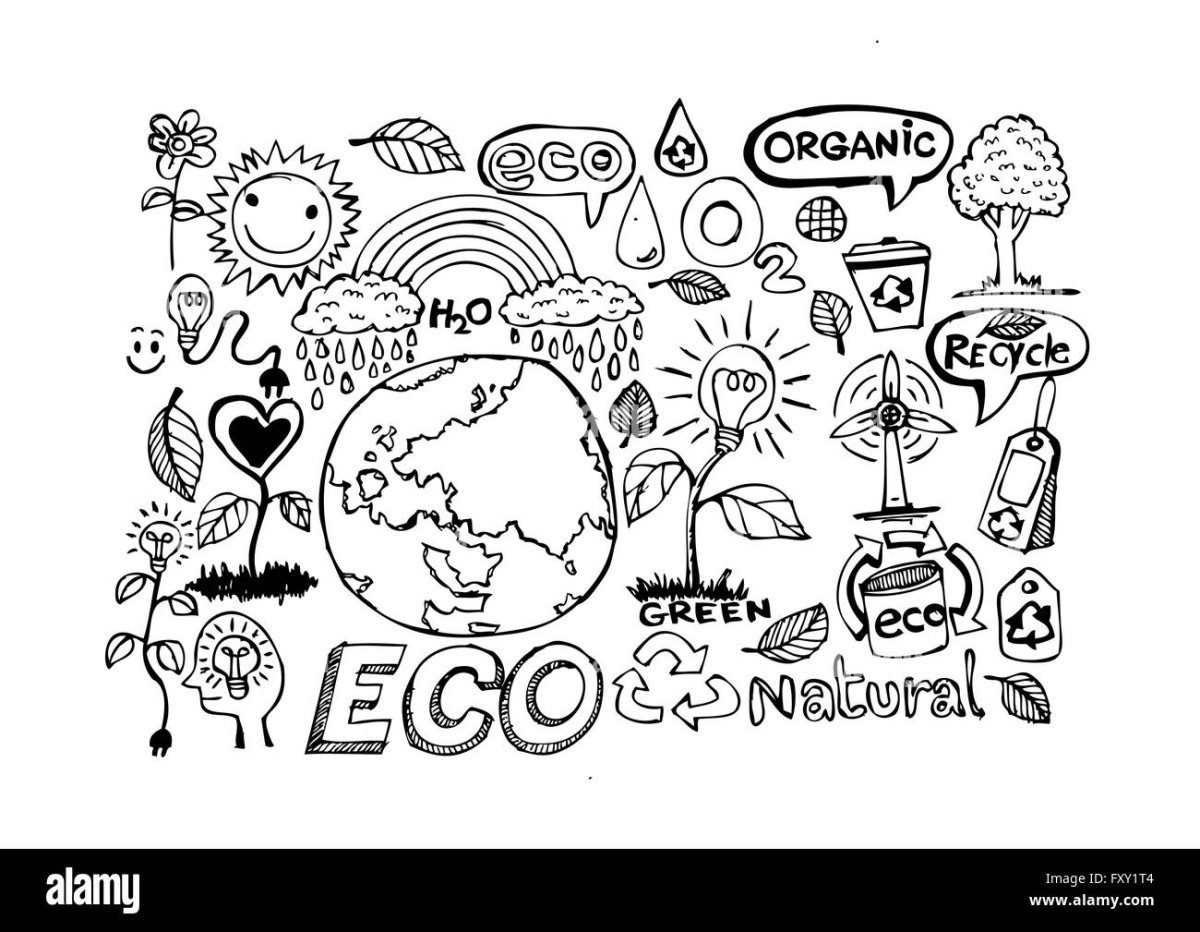 Эко раскраски для детей