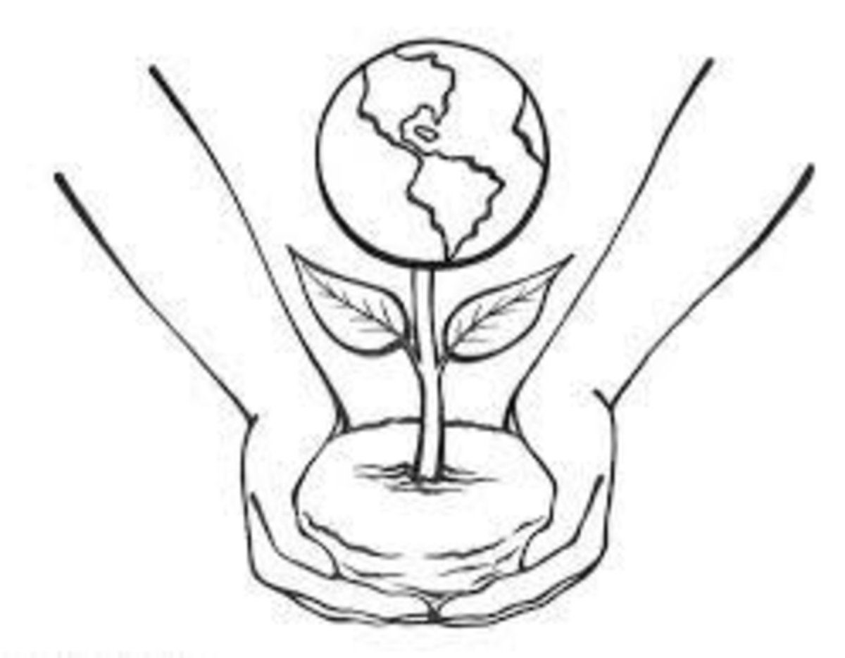 Защита природы раскраска