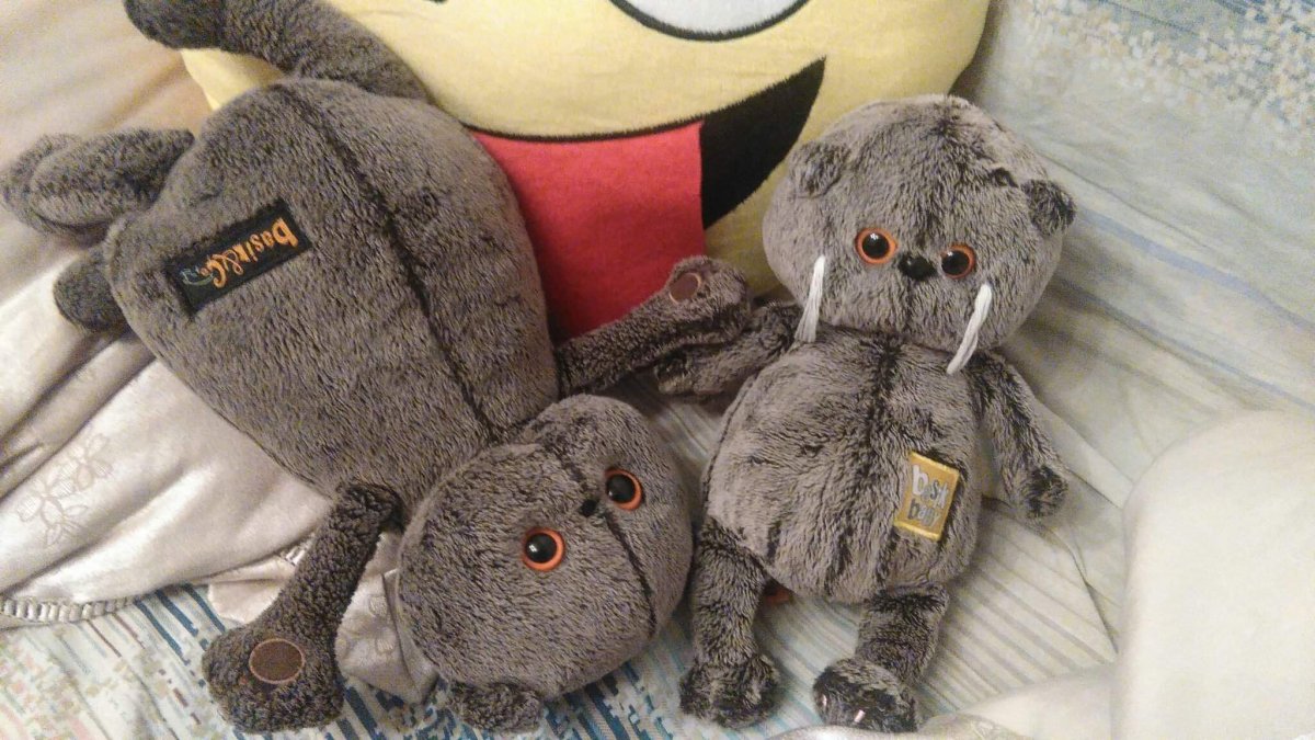 Басика Хеллер