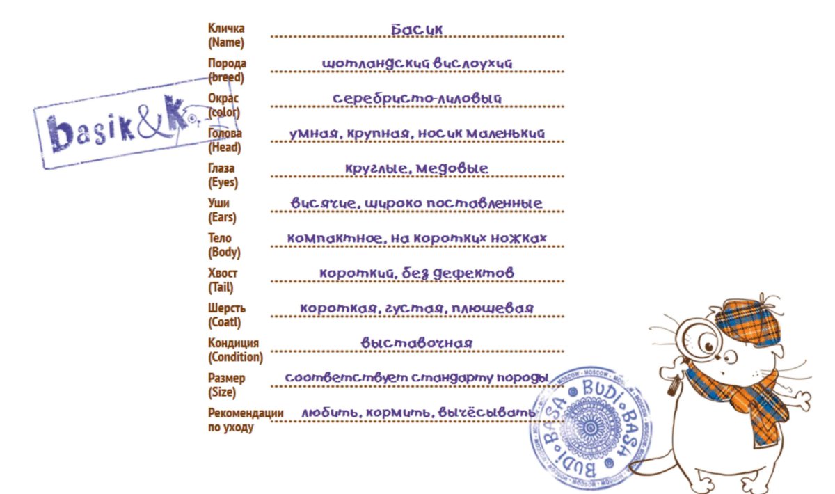 Паспорт кота Басика