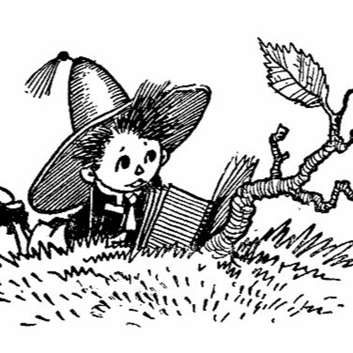 Солнечный город Незнайка в Солнечном городе