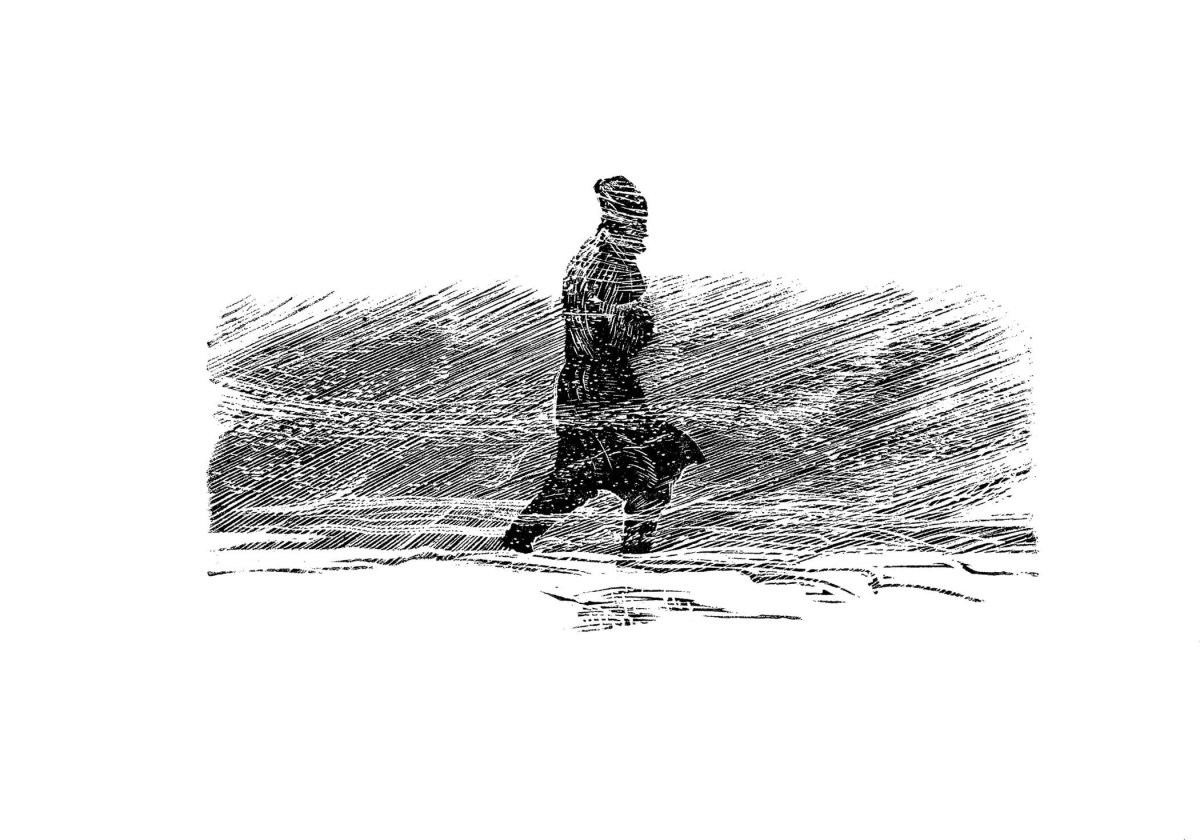 Фаворский Капитанская дочка