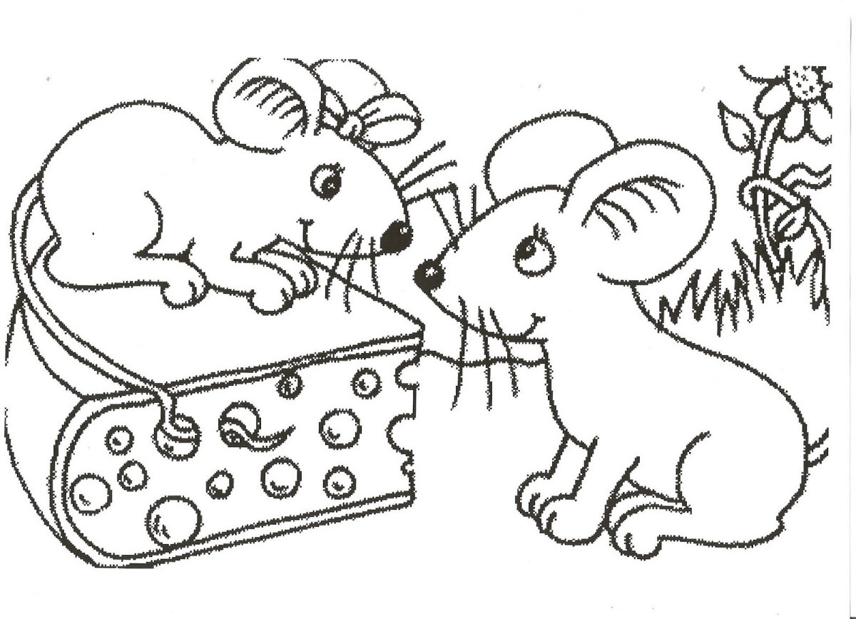 Раскраска мышь с сыром