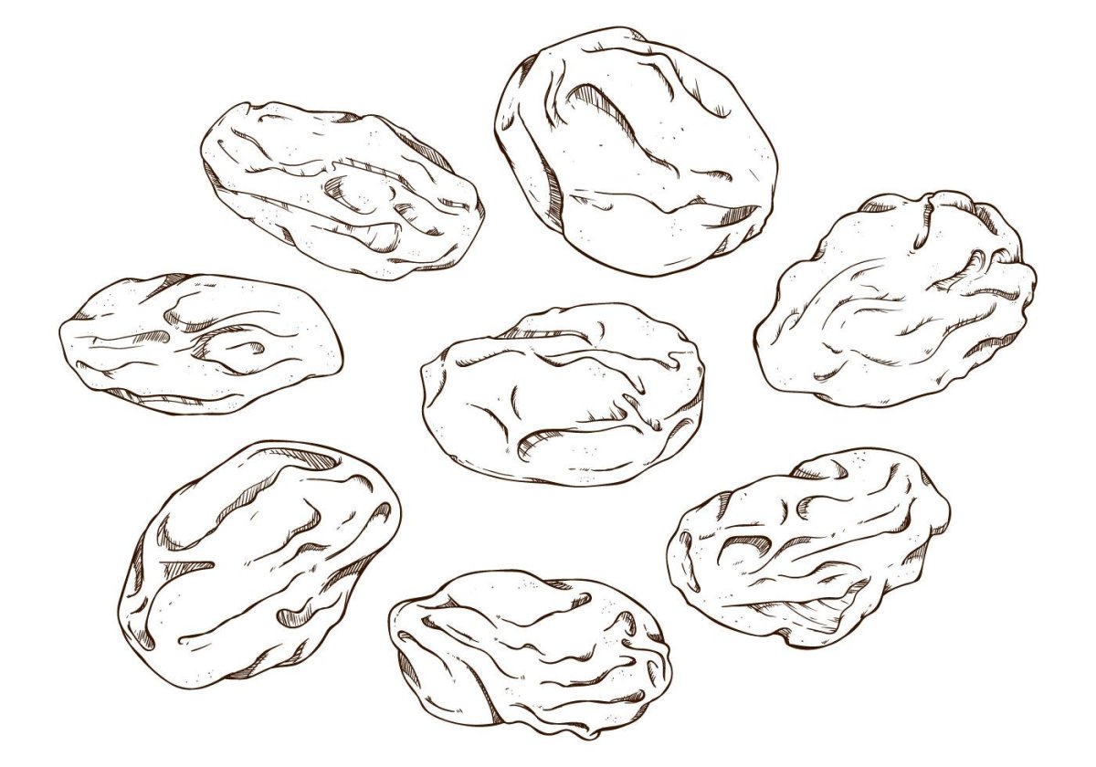 Сухофрукты раскраска