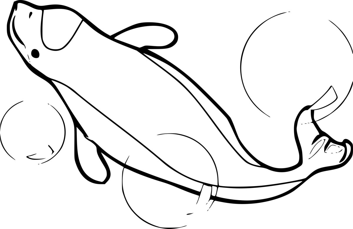 Белуха раскраска для детей