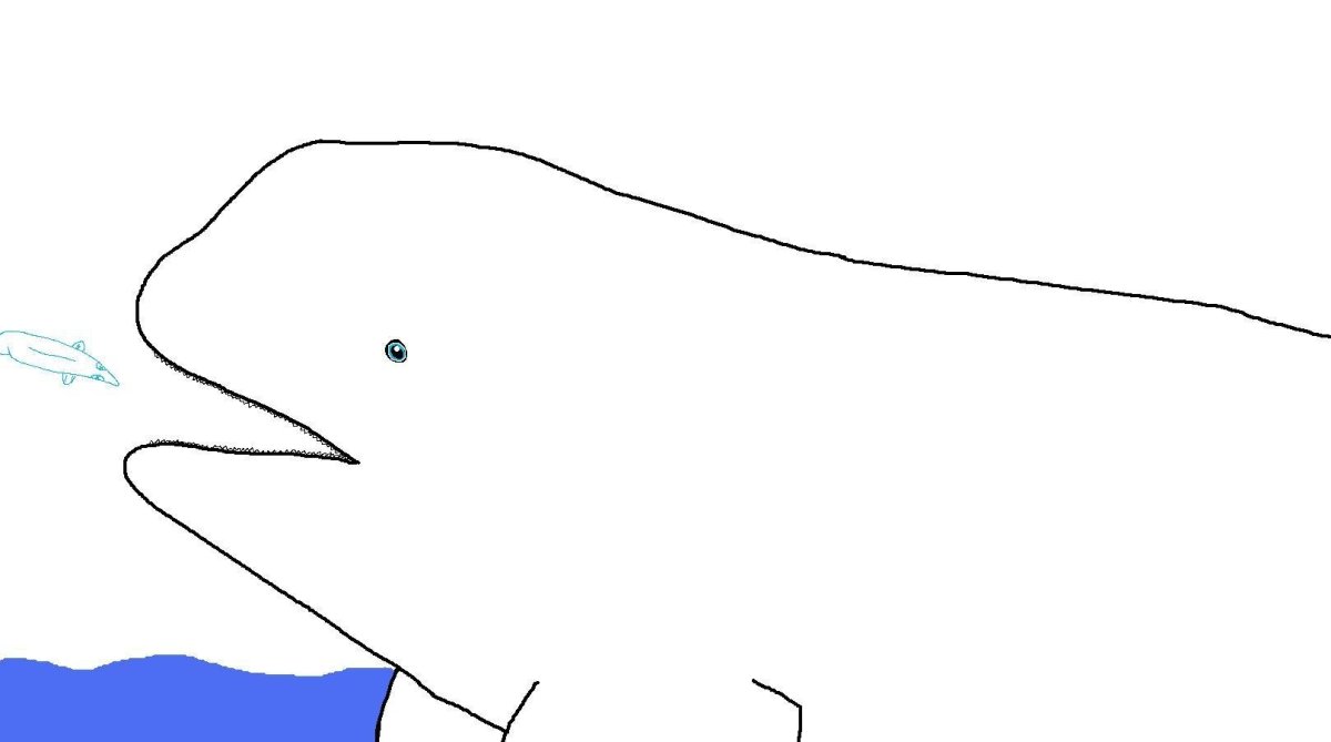 Белуха карандашом