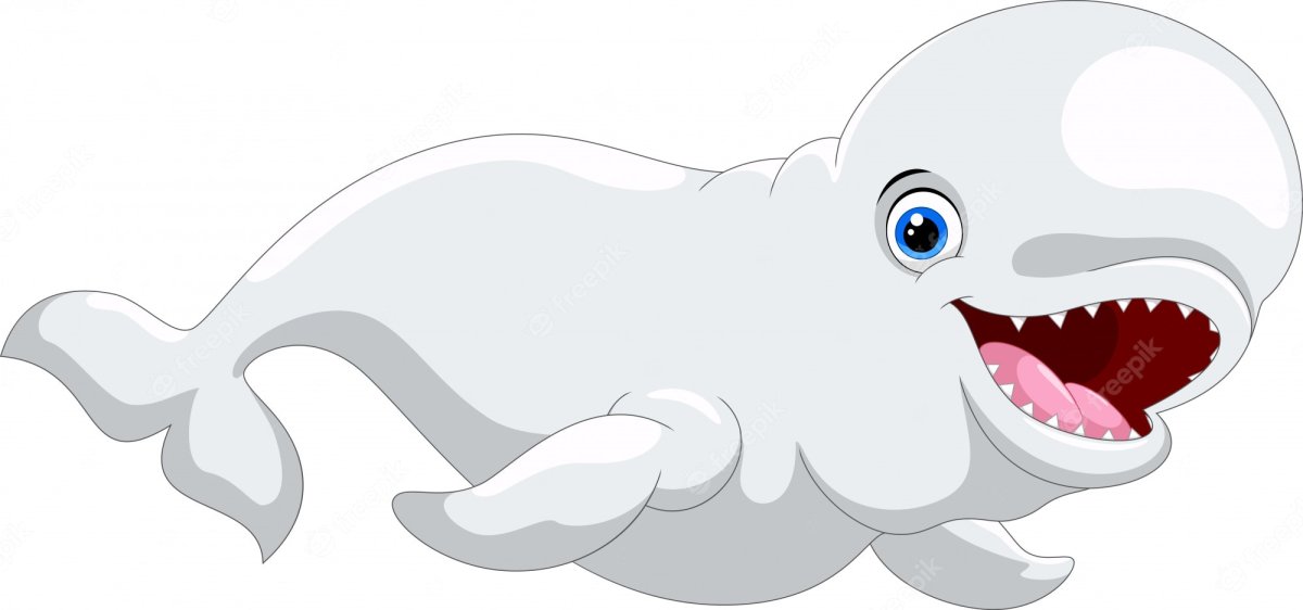 Белый кит на белом фоне