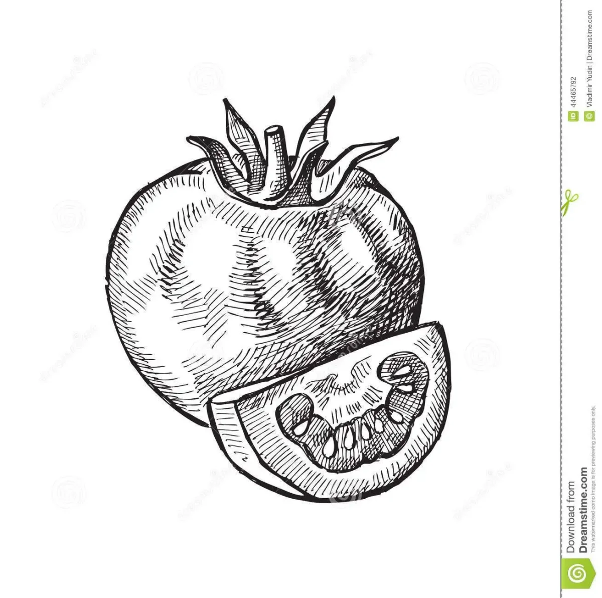 Tomato раскраска