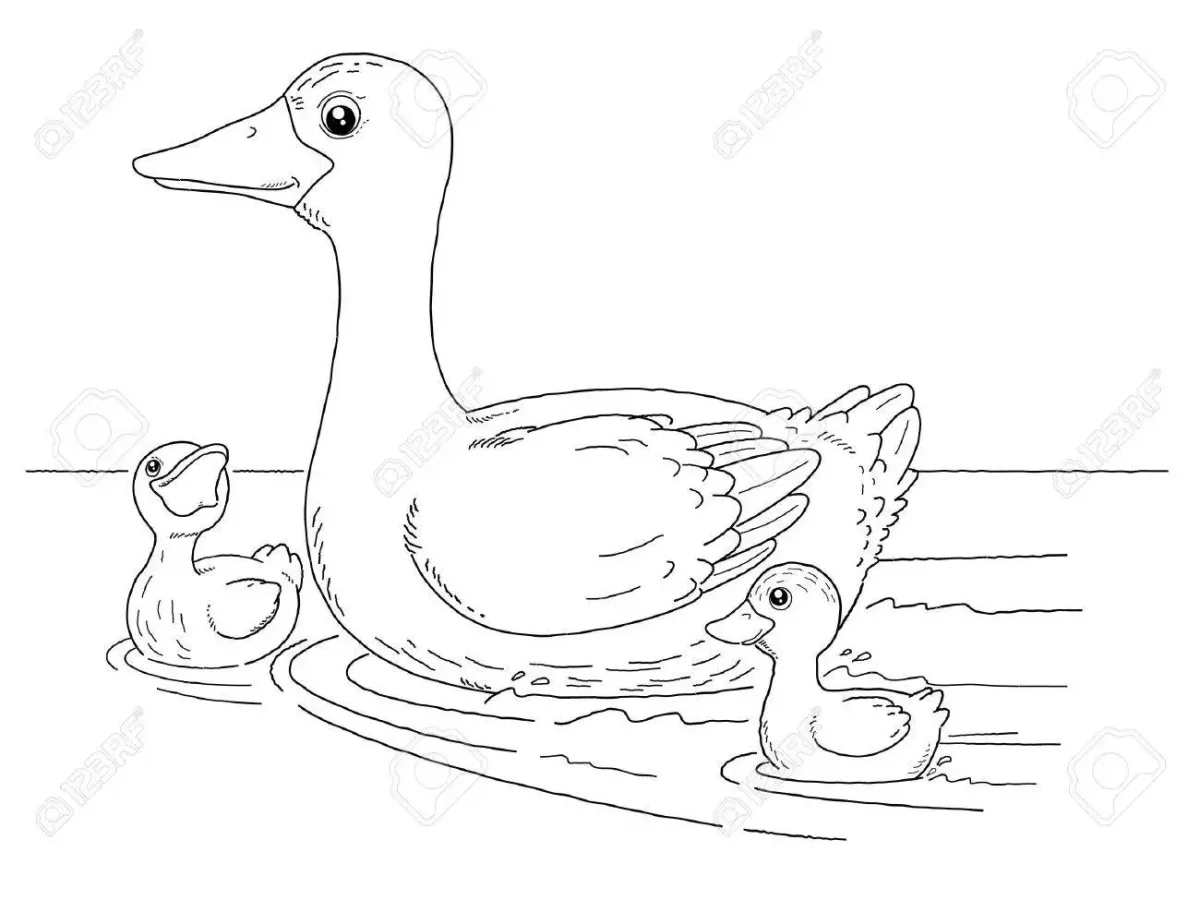 Утка раскраска