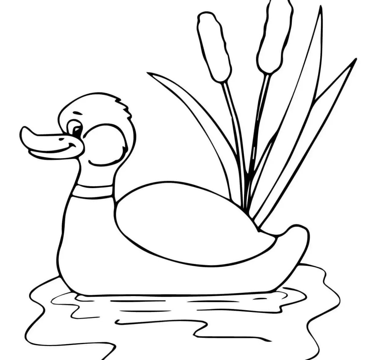 Раскраска уточка