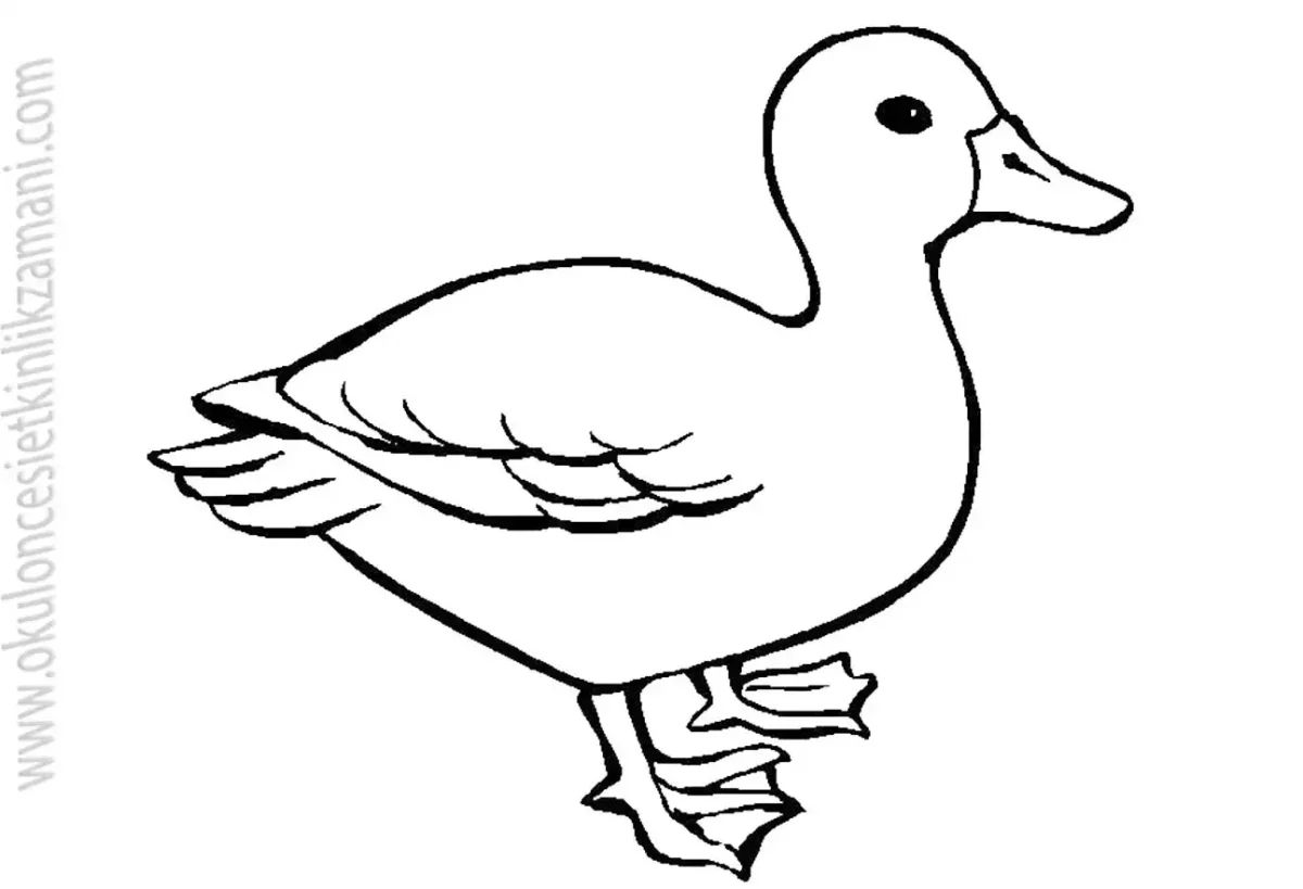 Хомка пришвин расскраска