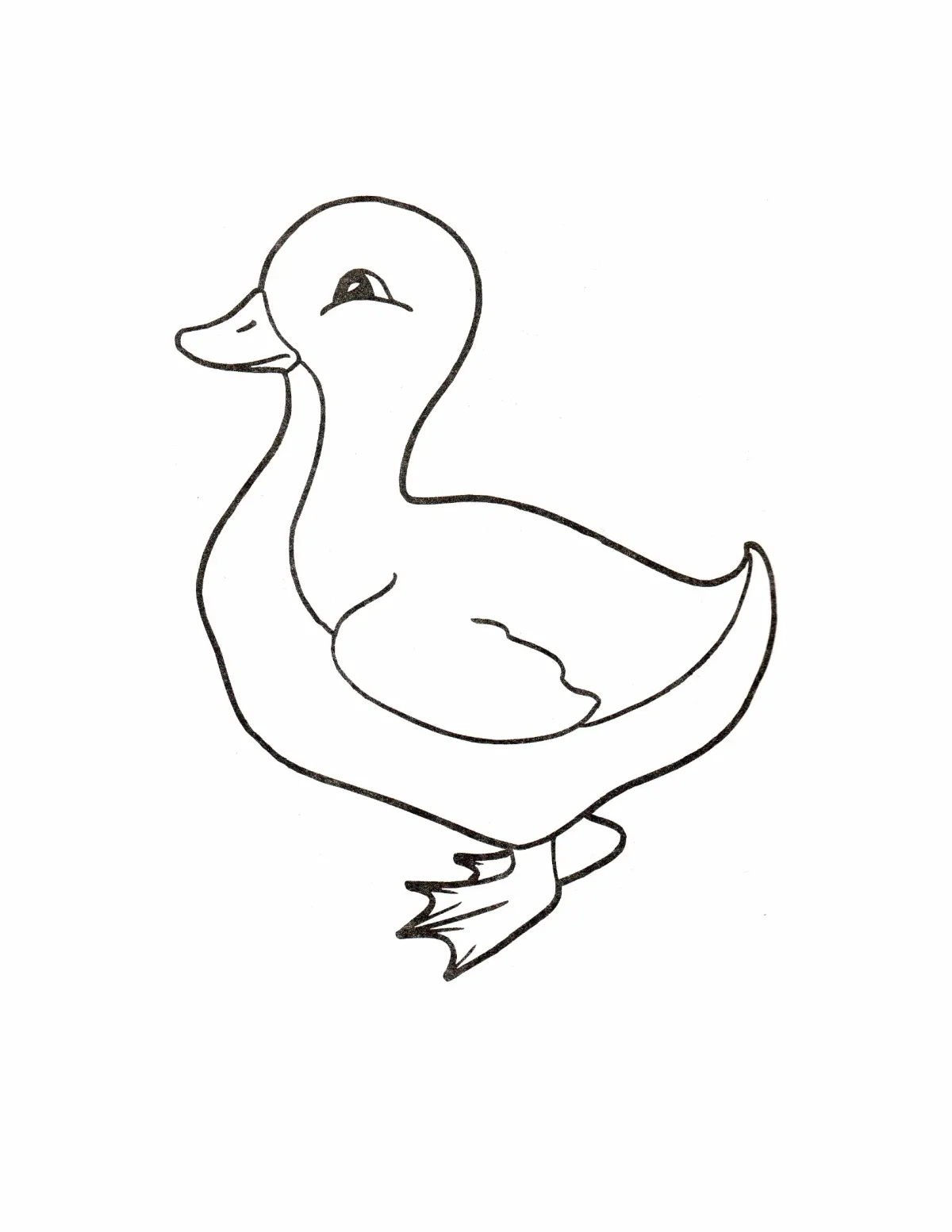 Утка раскраска для детей
