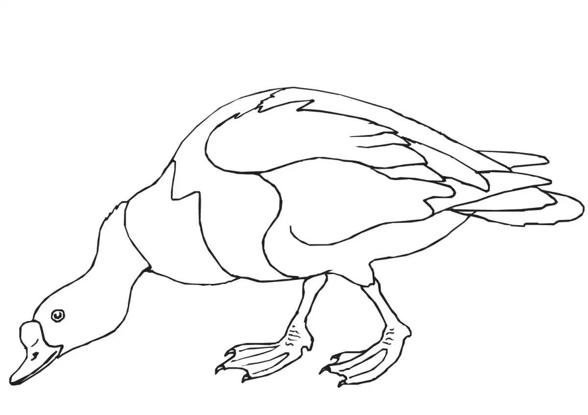 Михаил пришвин Харамка