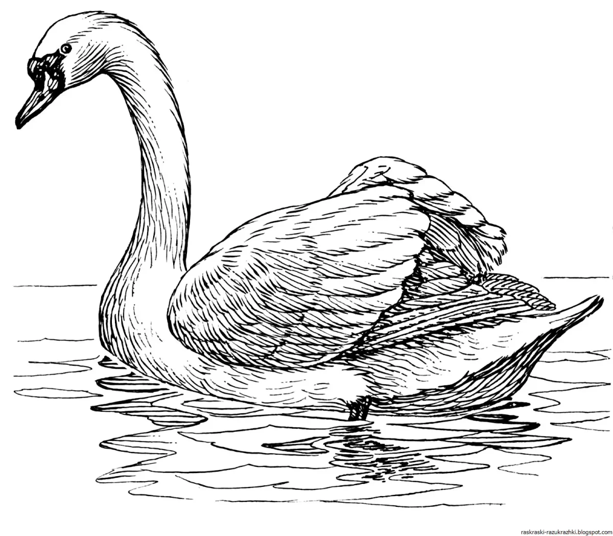 Утка карандашом для детей