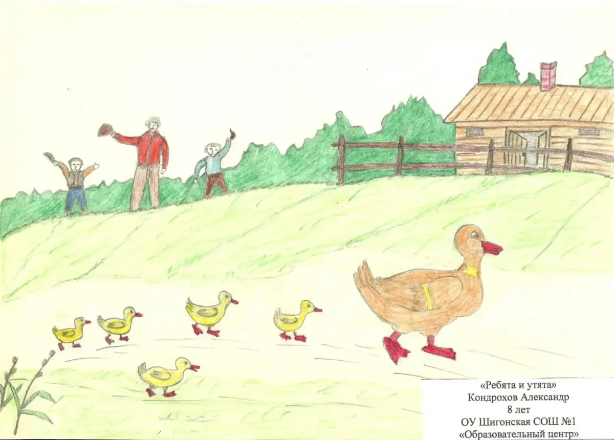 Утка раскраска для детей