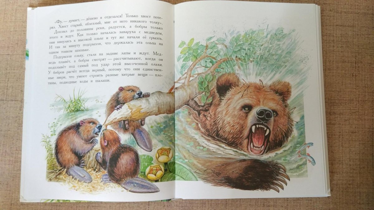 Пришвин золотой луг иллюстрации