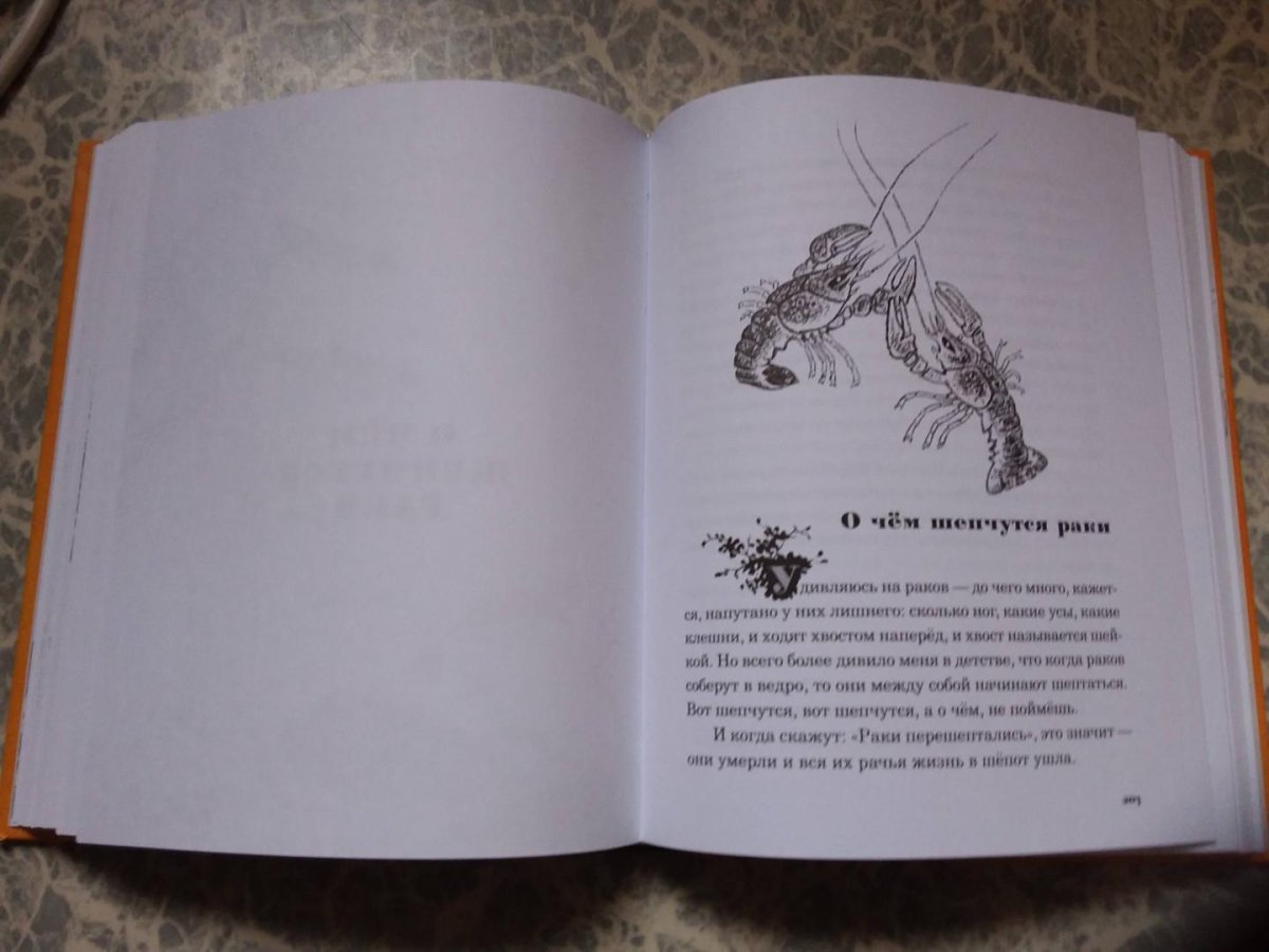 Пришвин еж иллюстрации к рассказу