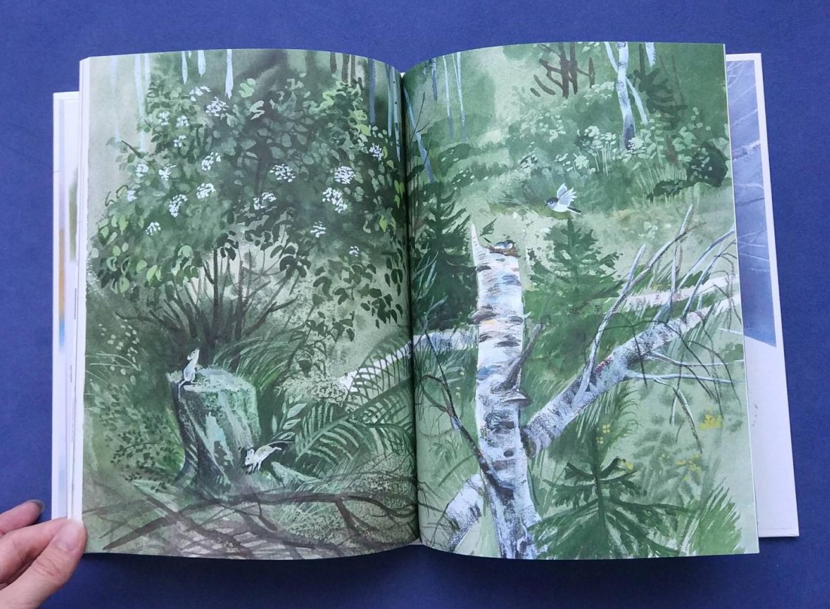 М.М.Пришвина "золотой луг