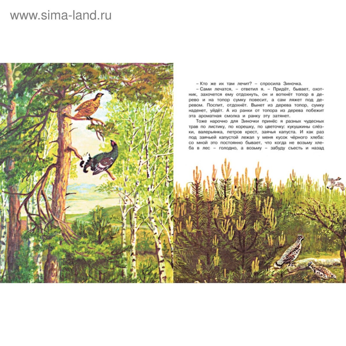 Екатерина Бородачева