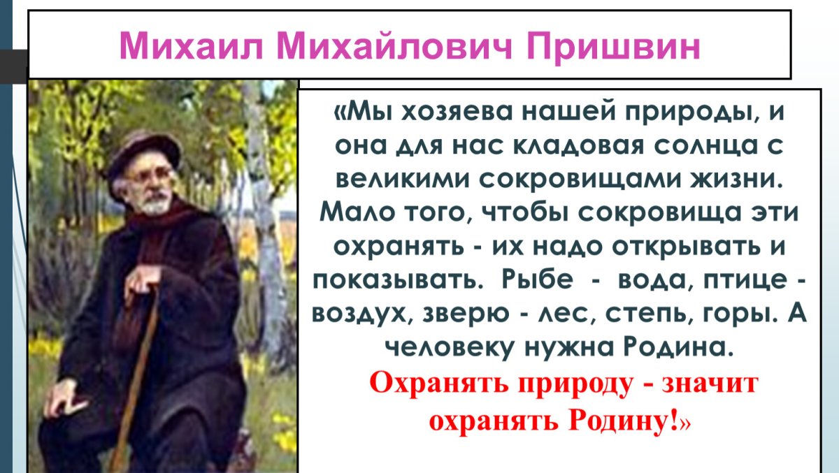 Михаил пришвин охота за бабочкой