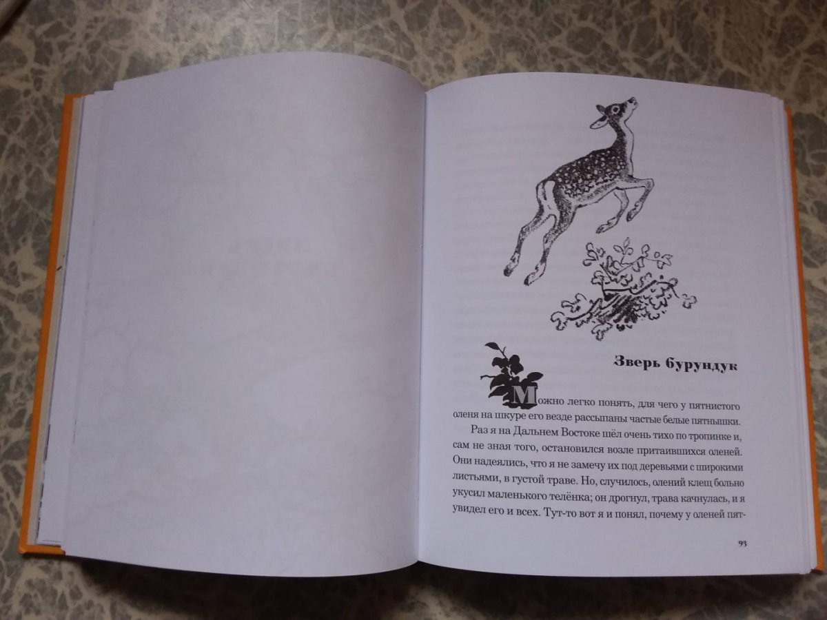 М пришвин ребята и утята