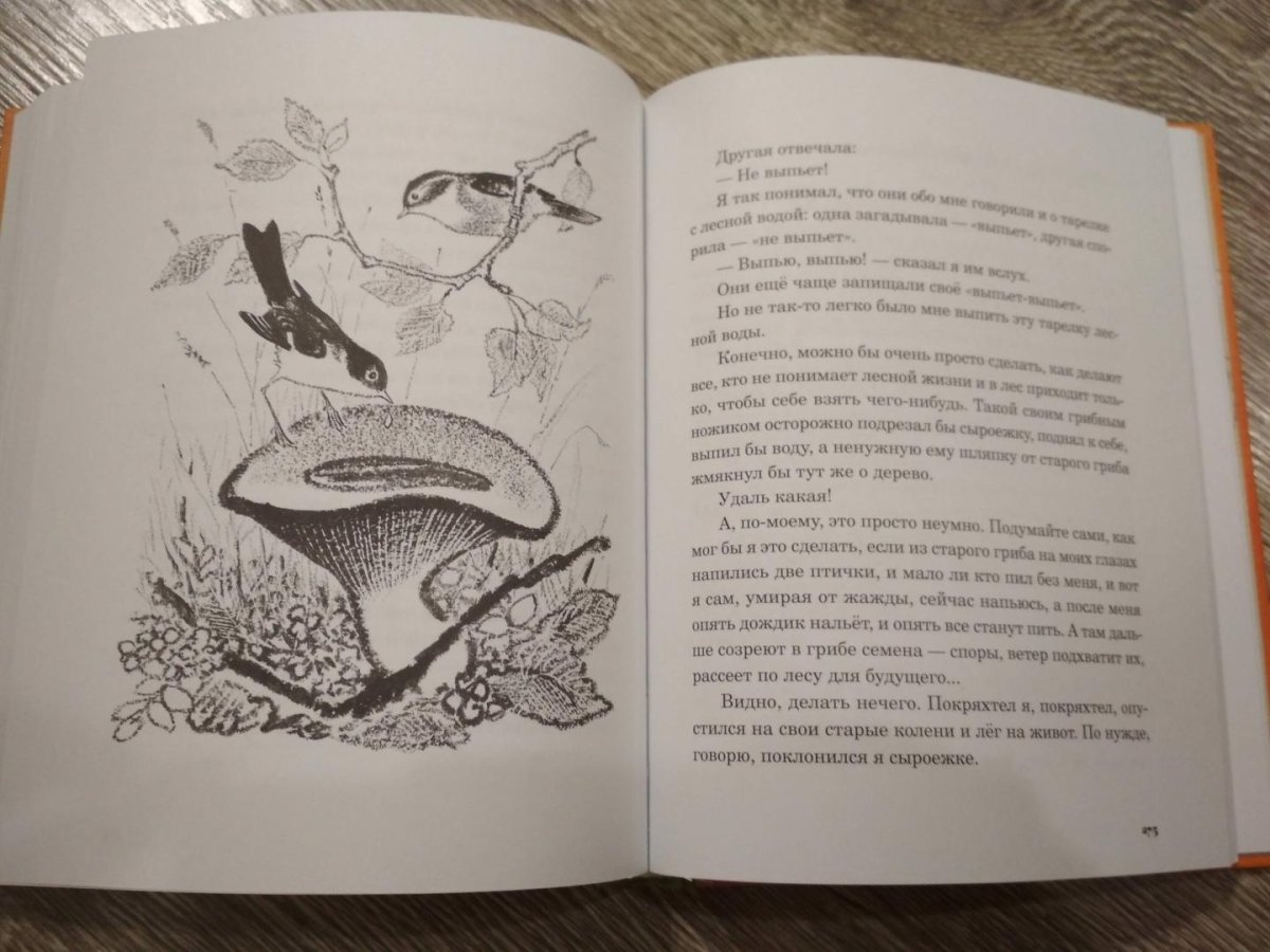 Природа СССР книга