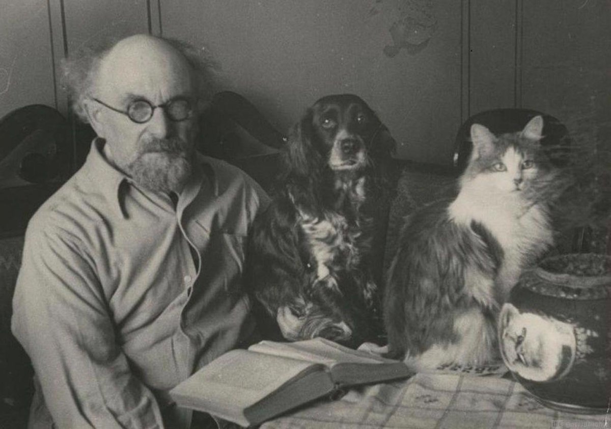 Воробей иллюстрация