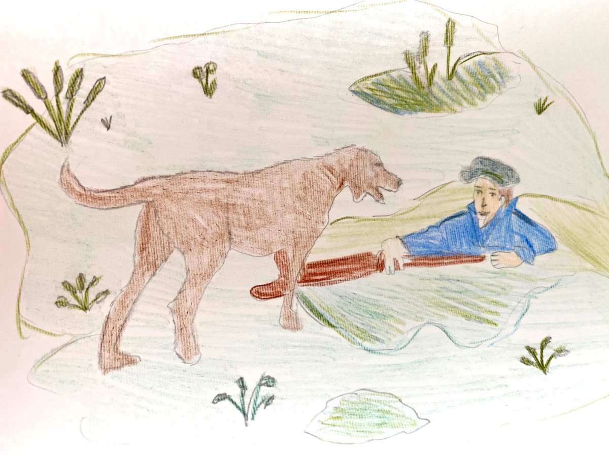 Пришвин жаркий час книга