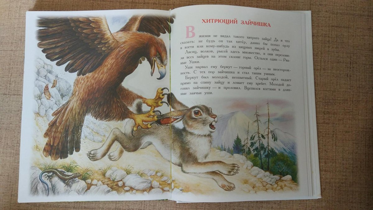 Иллюстрации к рассказу гости пришвин