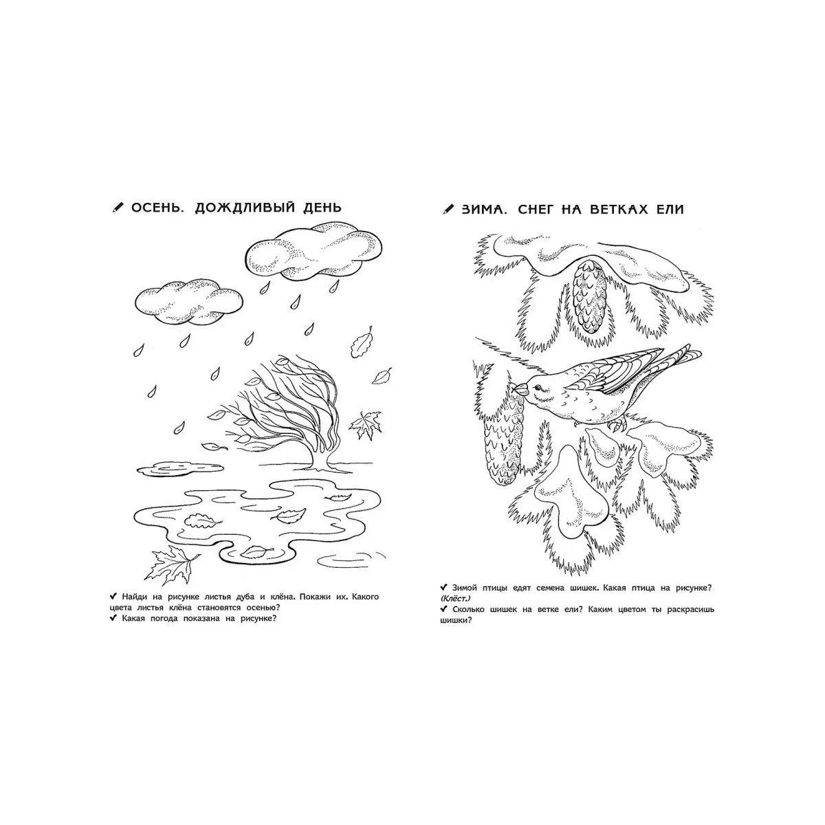 Раскраска декабрь