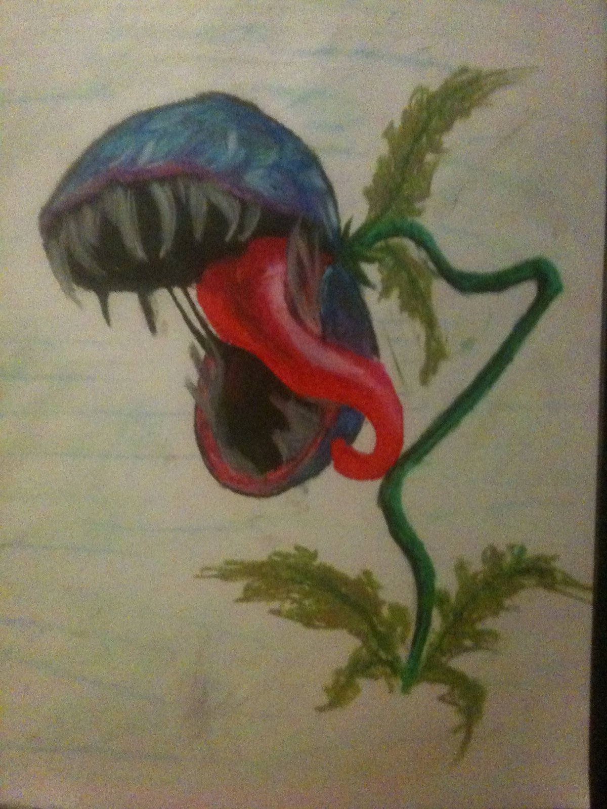 Венерина мухоловка акварель