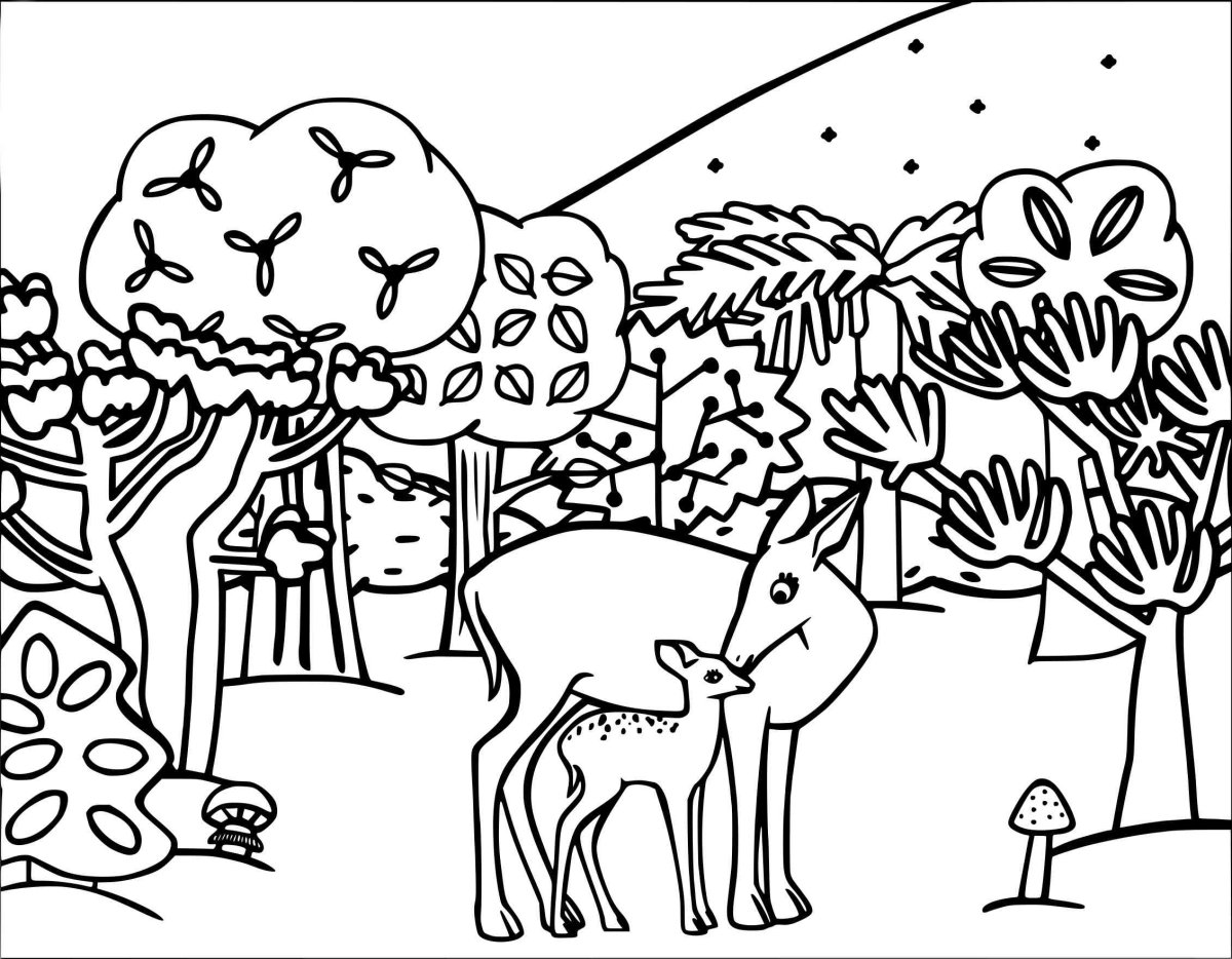 Раскраски на тему животные в лесу