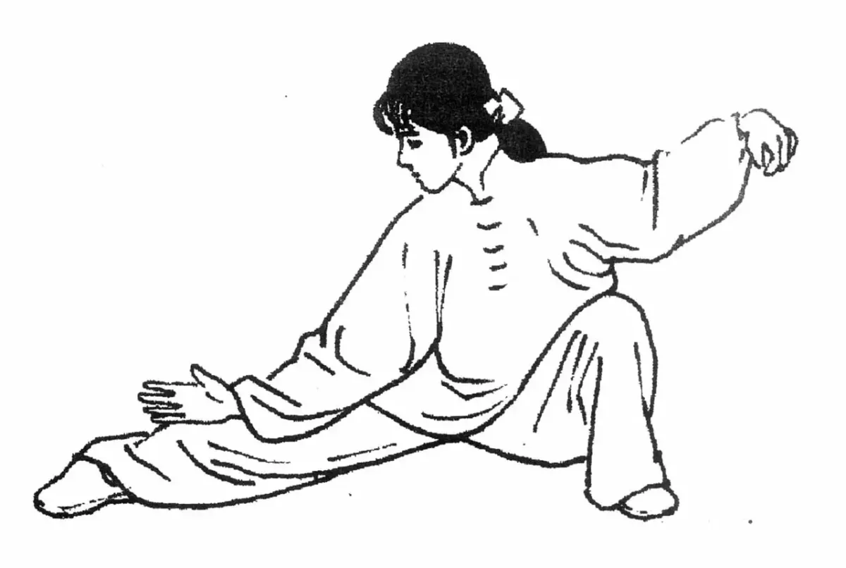 Тайцзи цигун Чжоу и