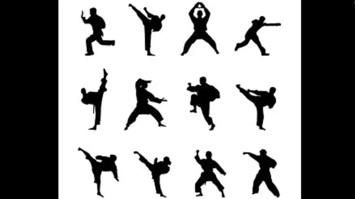 Пиктограммы боевые искусства