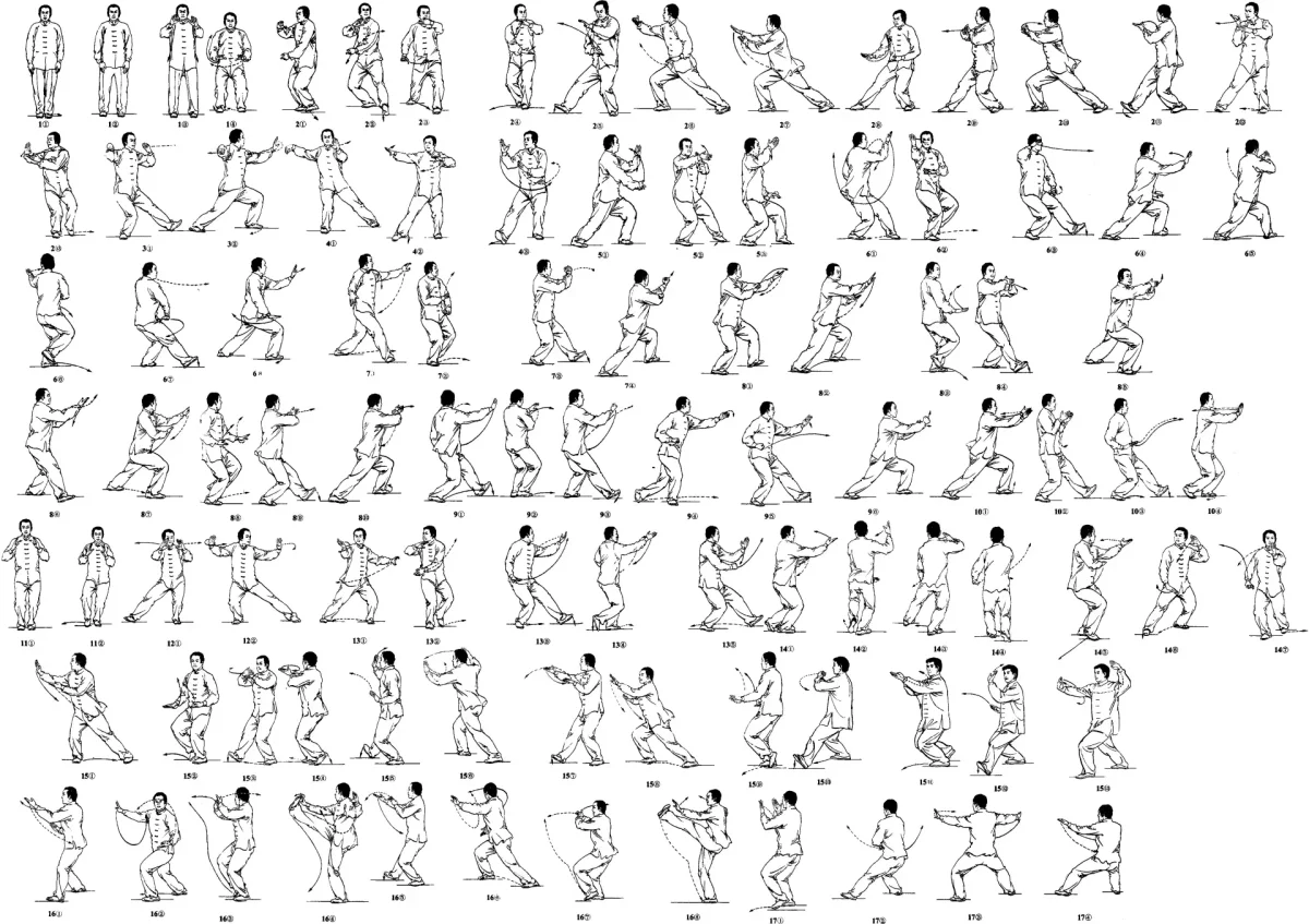 24 Формы тайцзицюань стиля Ян схема
