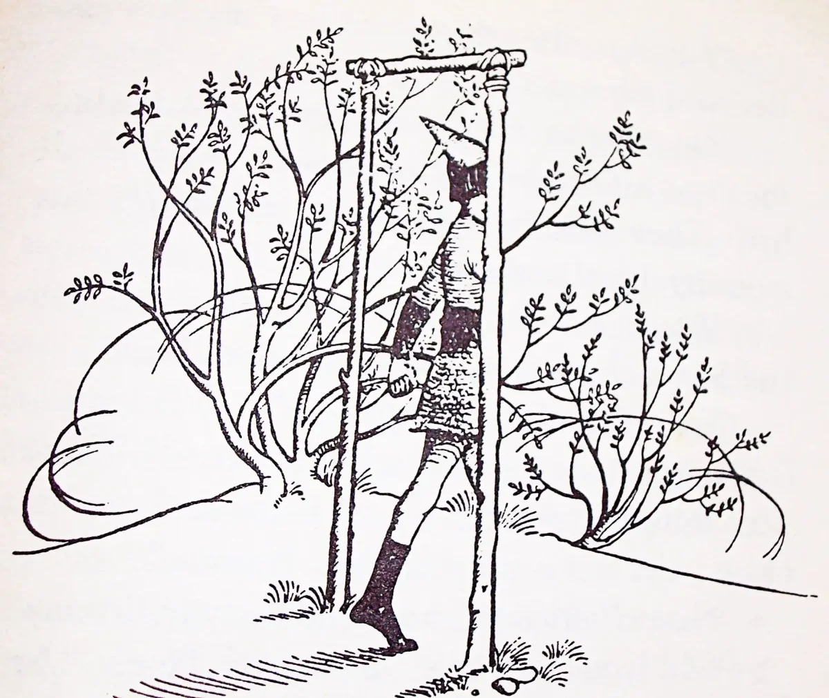 Хроники Нарнии Эдмунд арт