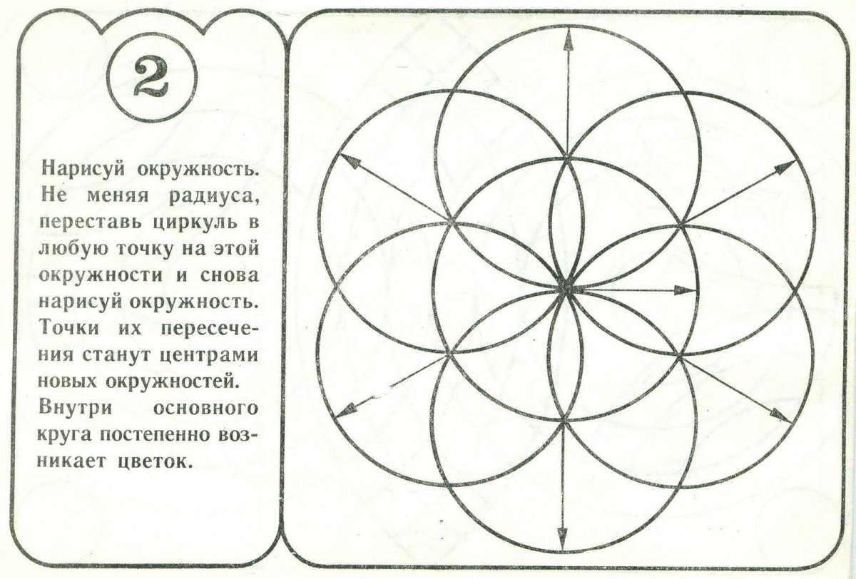 Цветок циркулем
