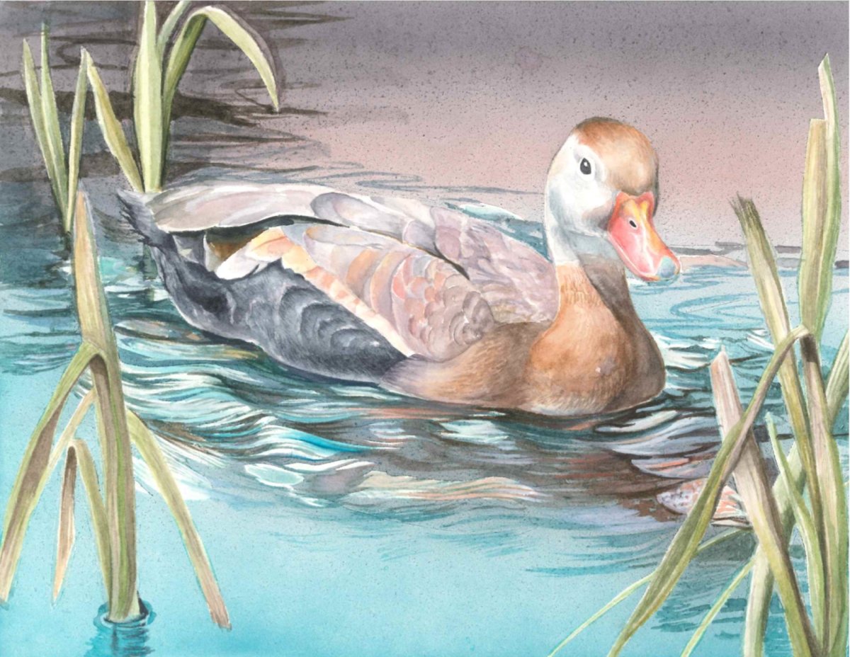 Сказка Ушинского петушок с семьей