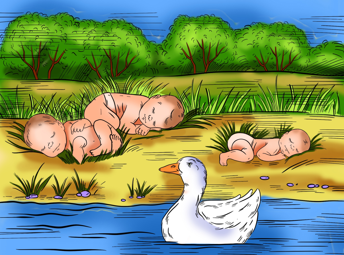 Утка раскраска для детей на прозрачном фоне