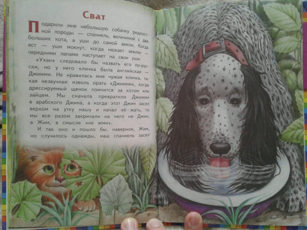 Бианки оранжевое горлышко раскраска