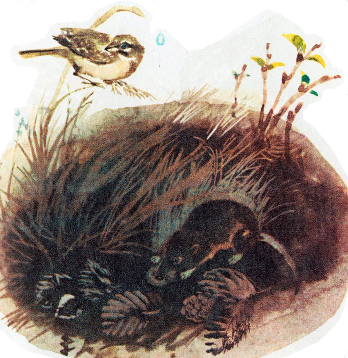 Рисование уточки