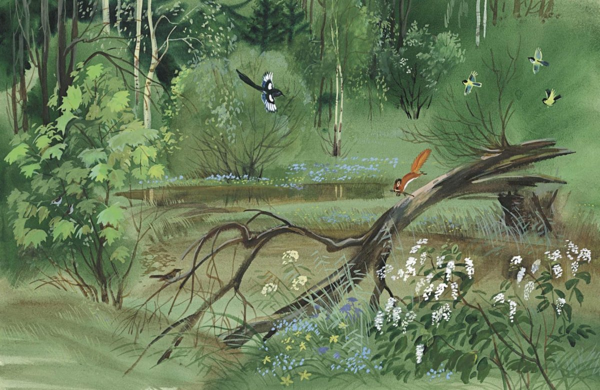 Бианки в. "Лесные домишки"