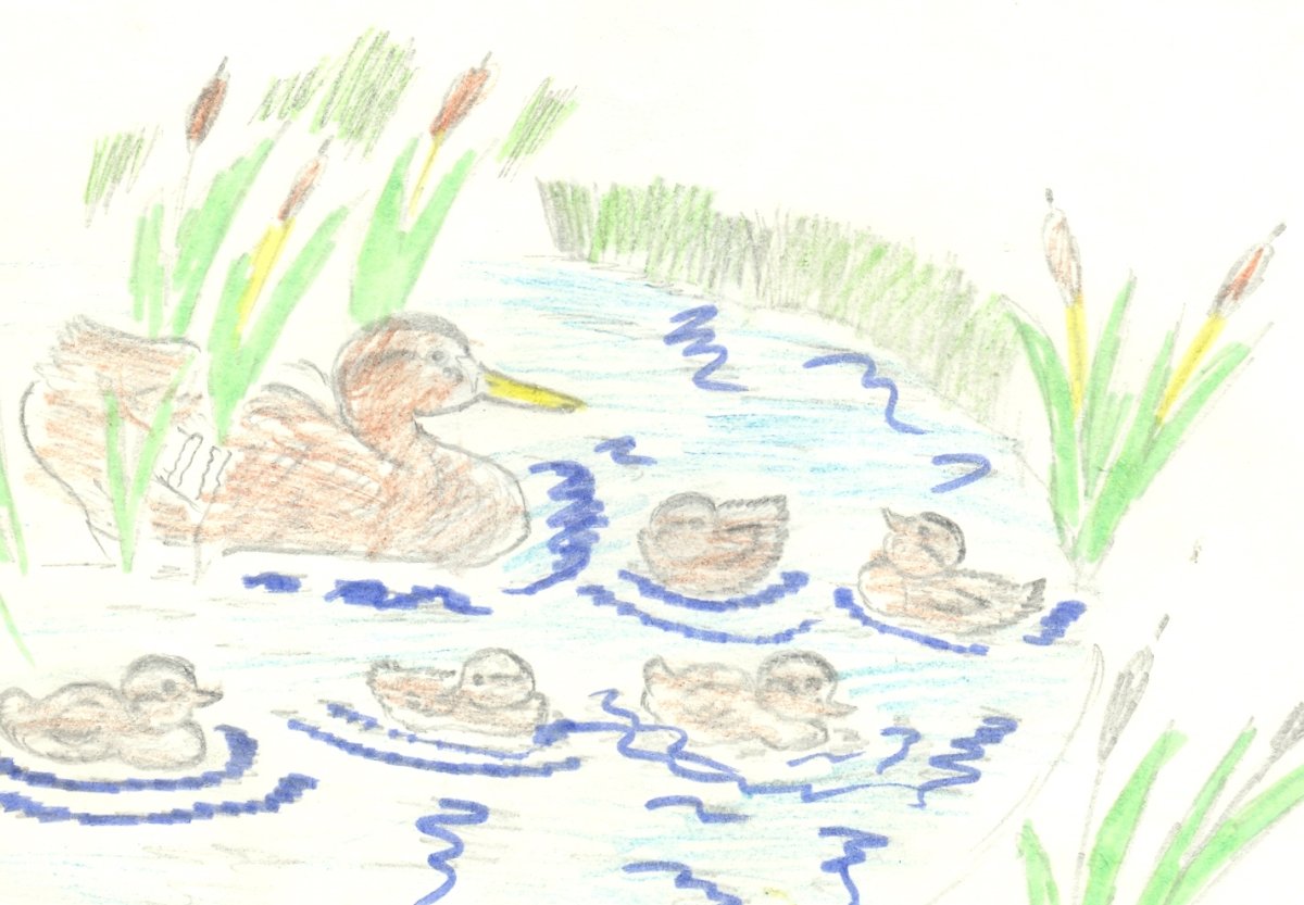 М.М пришвин "под снегом"