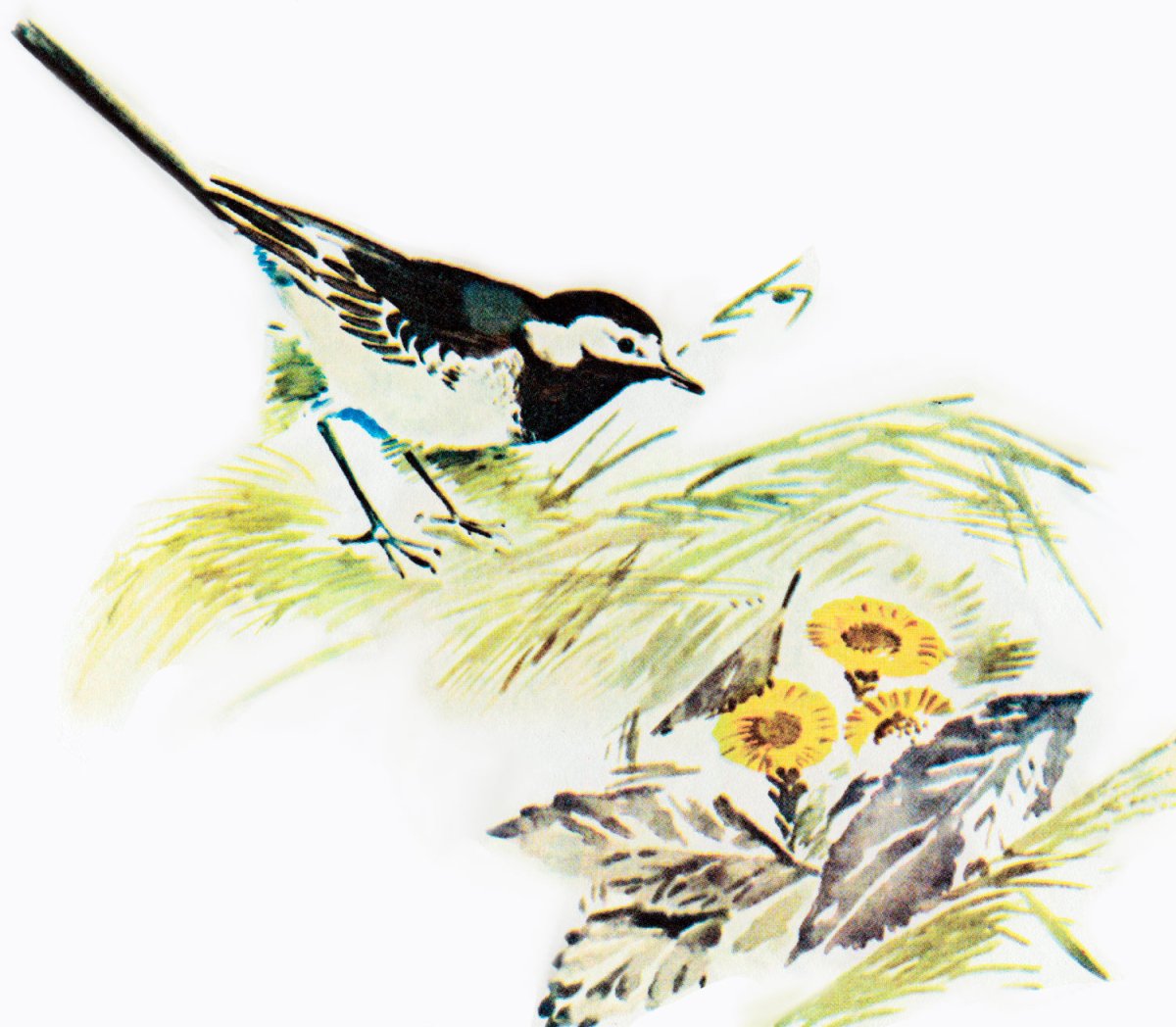 М Пришвина птицы и листья