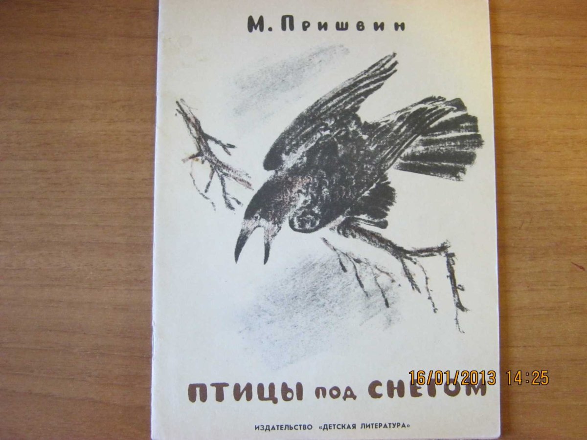 Гости пришвин рисунок