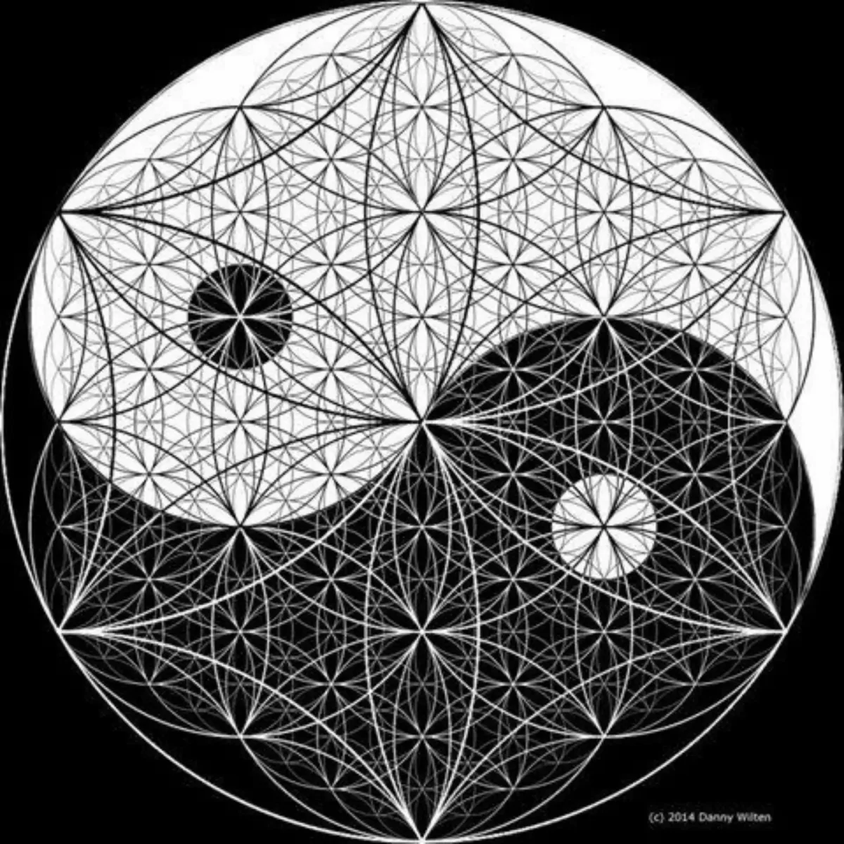 Инь Янь Сакральная геометрия