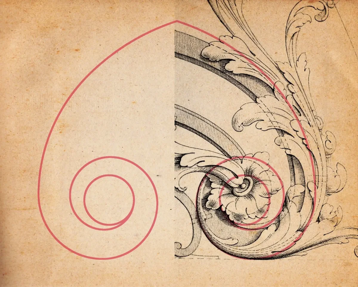 Золотое сечение орнамент